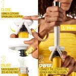 Zzysh® Premium Sparkling Wine Preservation System