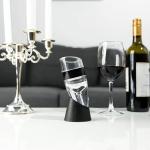 D&Slifei Red Wine Aerator and Decanter Set