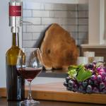Electric Wine Aerator – Portable Wine Tap Device