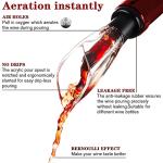 Uinxan 2-Pack Wine Aerator & Pourer Set