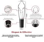Uinxan 2-Pack Wine Aerator & Pourer Set