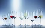 Schott Zwiesel Diva Stemware Set of 6 Glasses