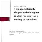 Schott Zwiesel Modo Red Wine Glass Set of 4