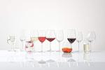 Schott Zwiesel Forte Set of 6 Wine Glasses