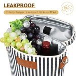 Tirrinia Insulated 2-Bottle Wine Tote Bag