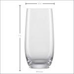 SCHOTT ZWIESEL Set of 6 Iced Beverage Glasses