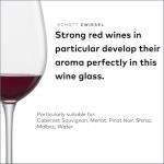 SCHOTT ZWIESEL Classico Red Wine Glass Set