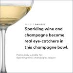 Schott Zwiesel Set of 6 Champagne Glasses