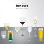 SCHOTT ZWIESEL Set of 6 Iced Beverage Glasses