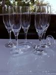 Schott Zwiesel Set of 6 Wine Glasses