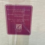 6 Schott-Zwiesel Grapevine Tall Champagne Flutes