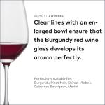 Forté Red Wine Glass Set of 6