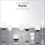 Forté Red Wine Glass Set of 6