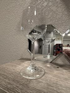 Set of 2 SCHOTT ZWIESEL Wine Glasses