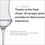 Schott Zwiesel Classico Grappa Glass Set of 6