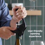 Rabbit 6-Piece Black Wine Opener Set