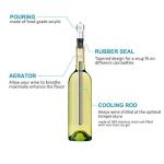 3-in-1 Stainless Steel Wine Chiller and Aerator