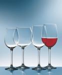 Schott Zwiesel Classico Burgundy Wine Glasses, Set of 6
