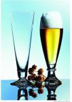 Schott Zwiesel Tritan Crystal Brussels Pilsner Glass Set