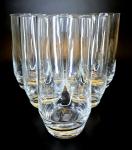 Schott Zweisel Tritan Pure Crystal Tumblers Set