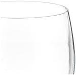 Schott Zwiesel Tritan Whiskey Glasses Set of 6