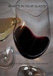 Professional Wine Glass Cleaner - 16 oz
