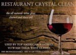 Professional Wine Glass Cleaner - 16 oz