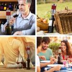 Automatic Electric Wine Dispenser and Aerator