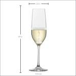 Set of 6 SCHOTT ZWIESEL Forté Champagne Flutes