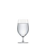 Schott Zwiesel All-Purpose Wine Glass Set of 6