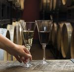 Schott Zwiesel Charlotte Red Wine Glasses Set of 4