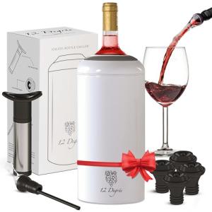 Stainless Steel Wine Chiller Set with Accessories