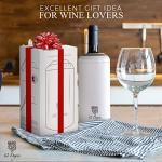 Stainless Steel Wine Chiller Set with Accessories