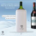 Stainless Steel Wine Chiller Set with Accessories