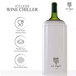Stainless Steel Wine Chiller Set with Accessories