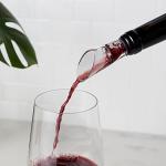 Wine Aerator Pourer - Premium Aerating Spout