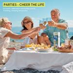 3-in-1 Stainless Steel Wine Chiller Stick