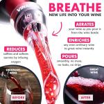VINABON Wine Aerator Pourer Spout with Guide
