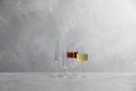 Schott Zwiesel Tritan Modo White Wine Glasses