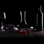 YouYah Iceberg Wine Decanter Set with Aerator