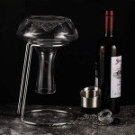 YouYah Iceberg Wine Decanter Set with Aerator