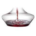 YouYah Iceberg Wine Decanter Set with Aerator