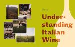 Discover Italian Wine: A Guide to Regions & Grapes