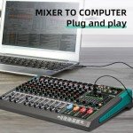 Shure PA12 Professional 12-Channel Audio Mixer