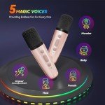 Portable Bluetooth Karaoke Microphone with 2 Mics