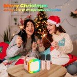 Portable Bluetooth Karaoke Microphone with 2 Mics