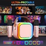 Portable Bluetooth Karaoke Microphone with 2 Mics