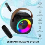Portable Bluetooth Karaoke Machine with 2 Microphones