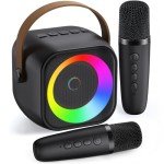 Portable Bluetooth Karaoke Machine with 2 Microphones