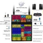 Dual Wireless Microphone Audio Mixer with Bluetooth